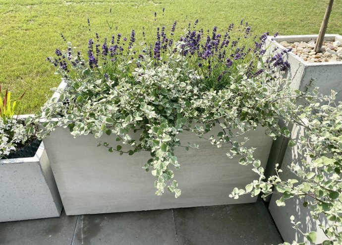 Donica betonowa 40 x 60 x 100 cm